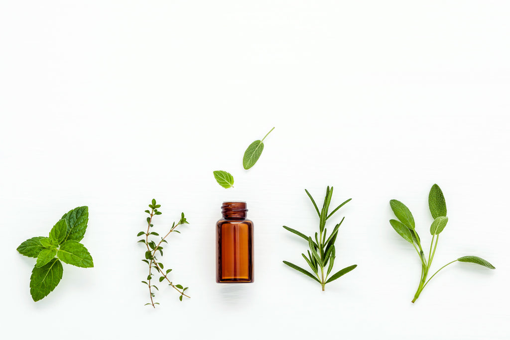 Why Don't I Use DoTerra or Young Living Essential Oils?